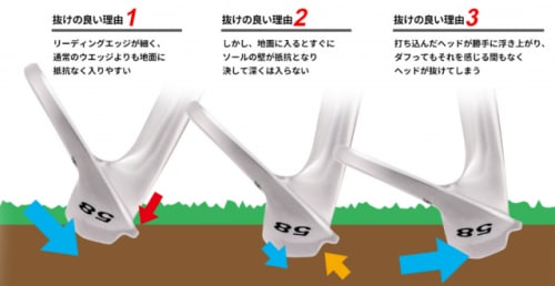 IMG_3964[1].PNG