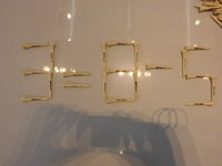 CIMG5480.JPG