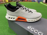 eccoはじめました