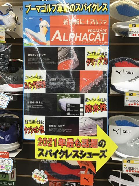 まさかの新領域展開中のシューズです！