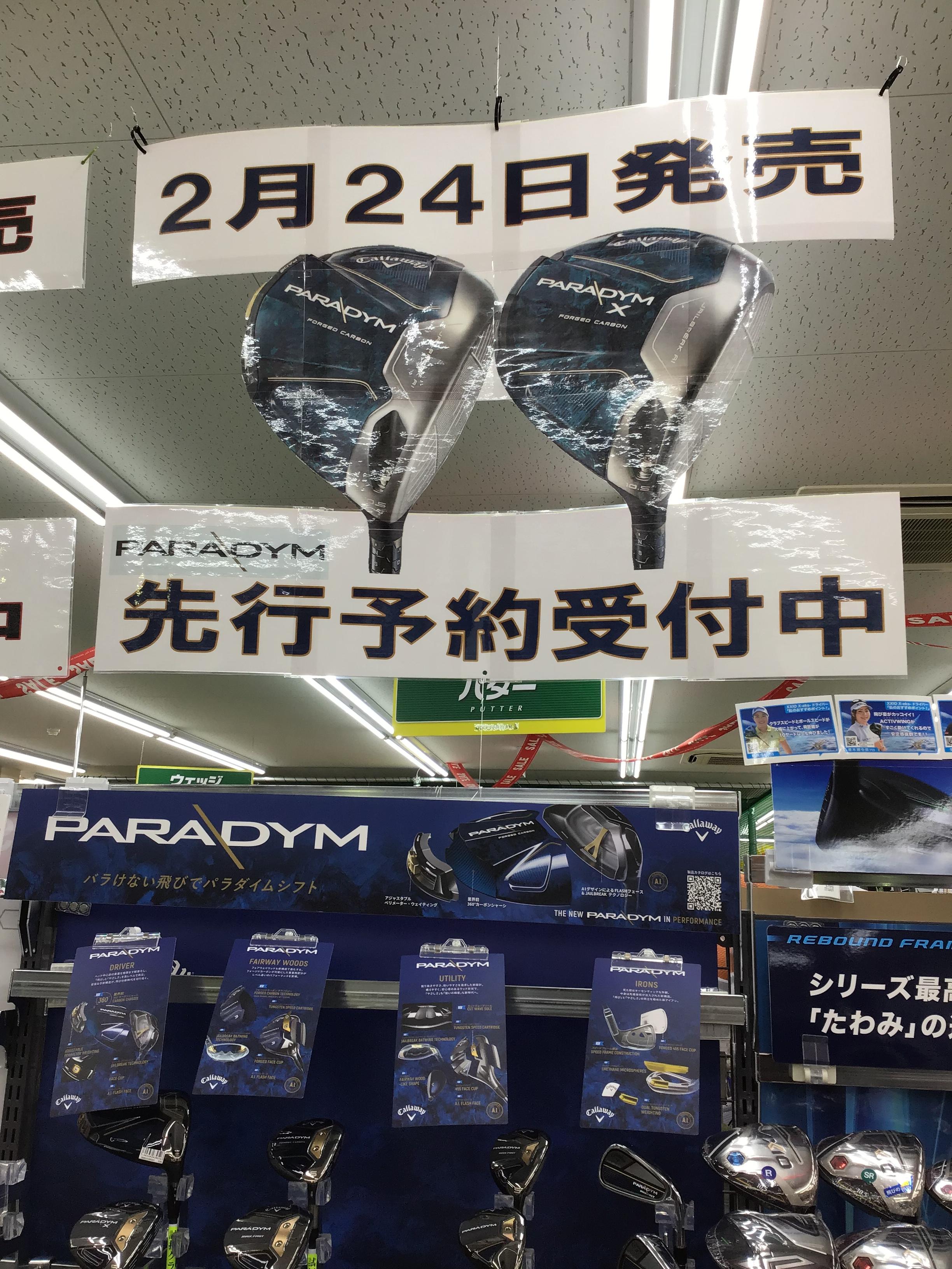 pa1.JPG