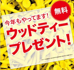 【ウッドティー無料配布中！好評です、、。】