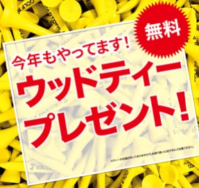 【ティーあります！】