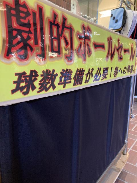 【新たな仲間が加入?ボールセール大好評です！】