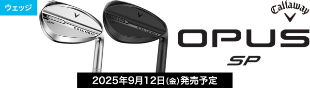 【新作ウェッジまとめ買いキャンペーン】