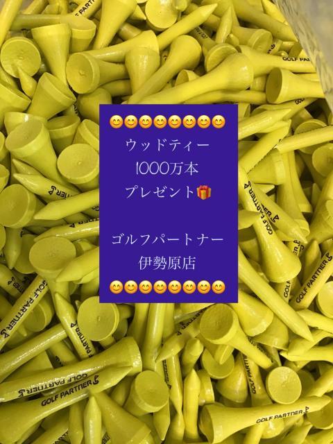 ウッドティー　