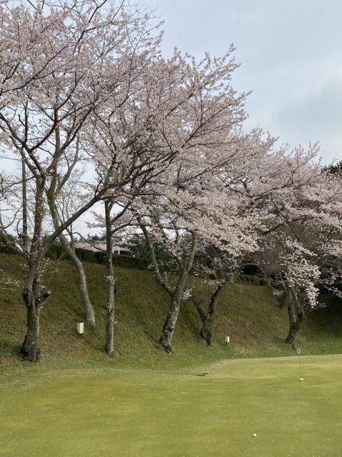ついにシーズンINですね！