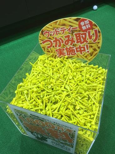 ウッドティー差し上げます！！