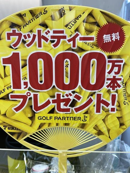 ウッドティ　1,000本プレゼント♪