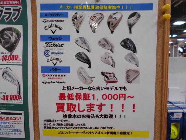 DSCN0405.JPG