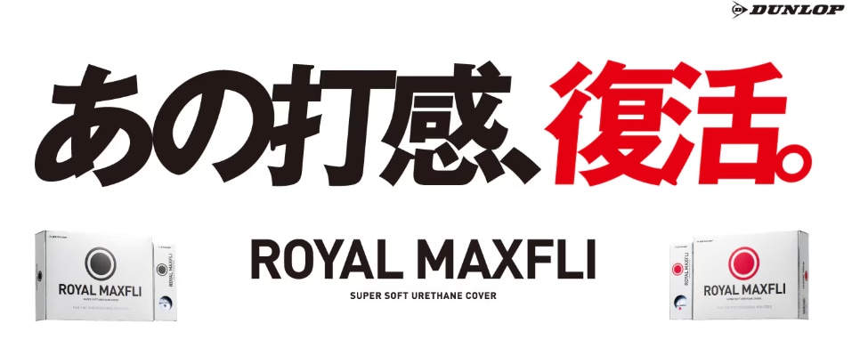 スクリーンショット 2025-11-08 162826.png