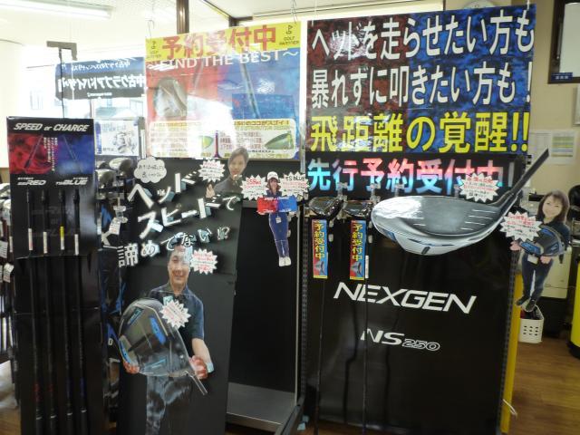 NS250a.JPG