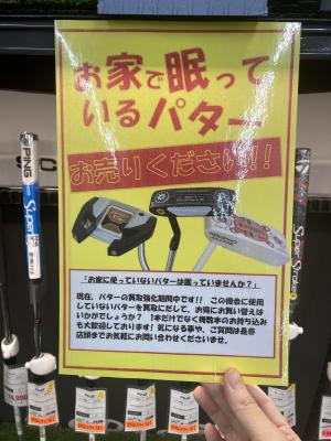 IMG_0903.JPGのサムネイル画像