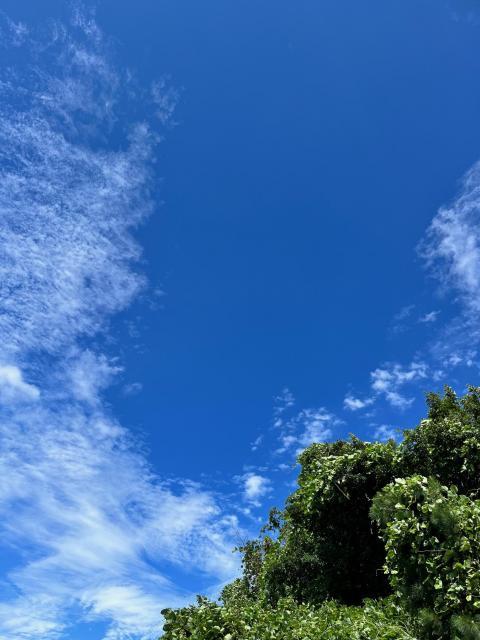☆月に一度のレディースＤａｙ☆