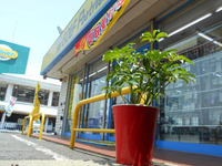 DSCN4235.JPG