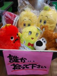 DSCN4786.JPG