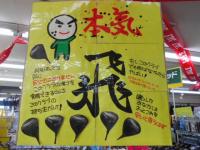 DSCN4917.JPG