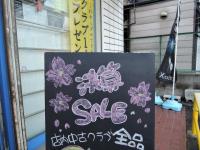 DSCN8838.JPG