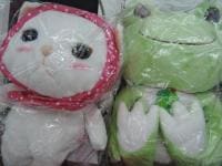 DSCN8875.JPG