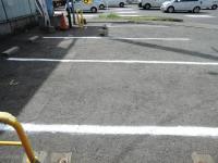 DSCN8901.JPG