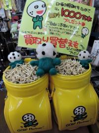 DSCN8903.JPG