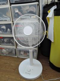 DSCN9021.JPG