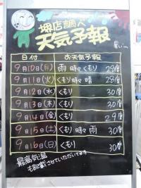 DSCN9087.JPG