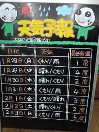 DSCN9197.JPG