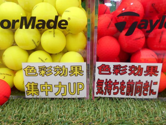 DSCN3931.JPG