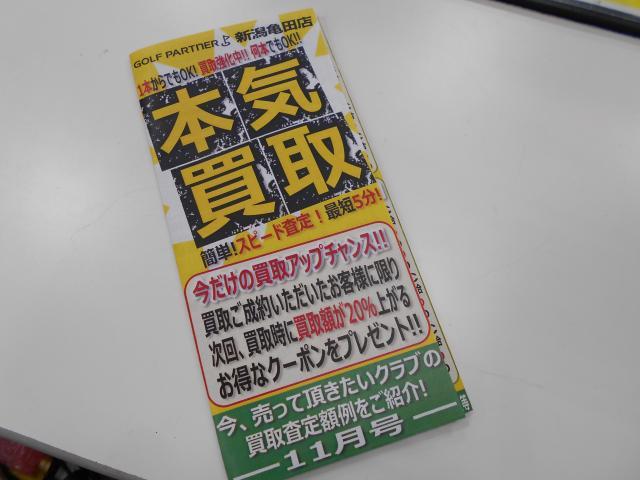 DSCN4184.JPG