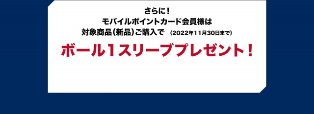 present_img05.png