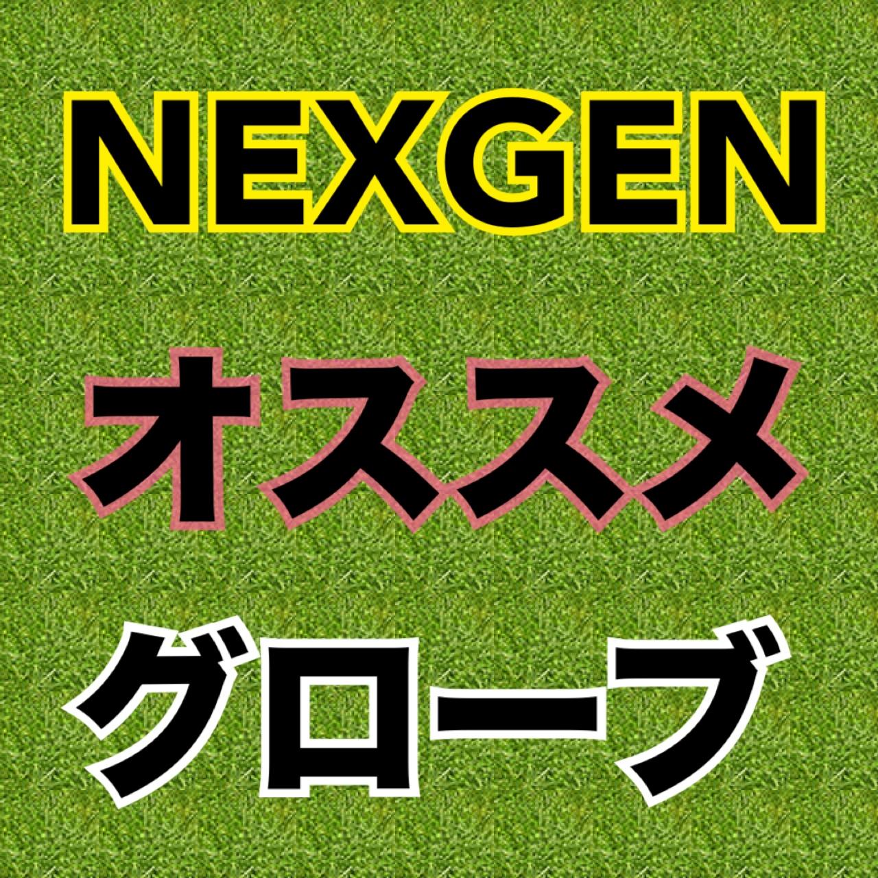 NEXGENグローブ