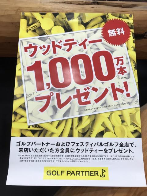 ウッドティー1000本