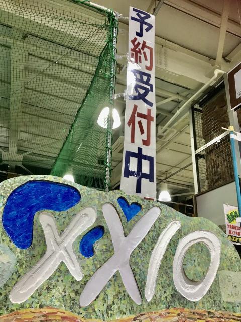 ＸＸＩＯ11試打クラブ入荷