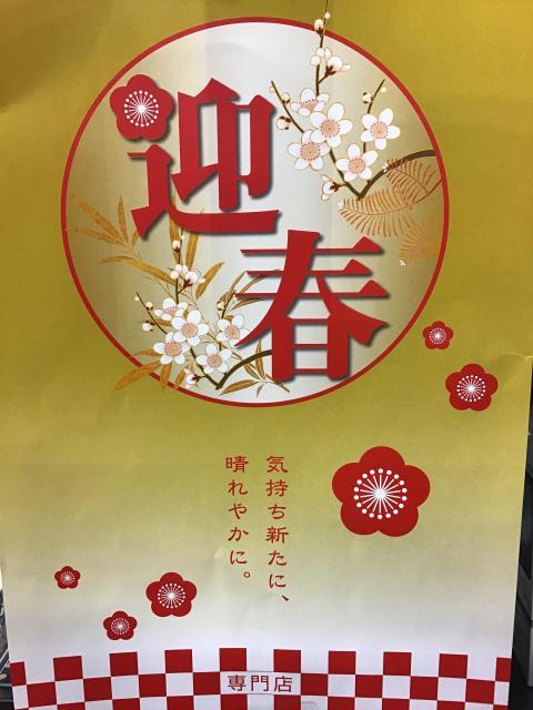 ☆迎春☆
