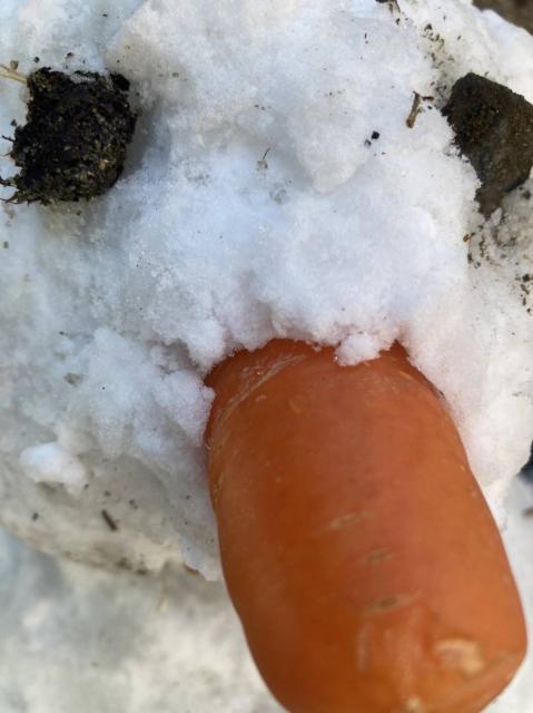 ☆天気...雪☆