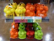 カラーボール入荷！