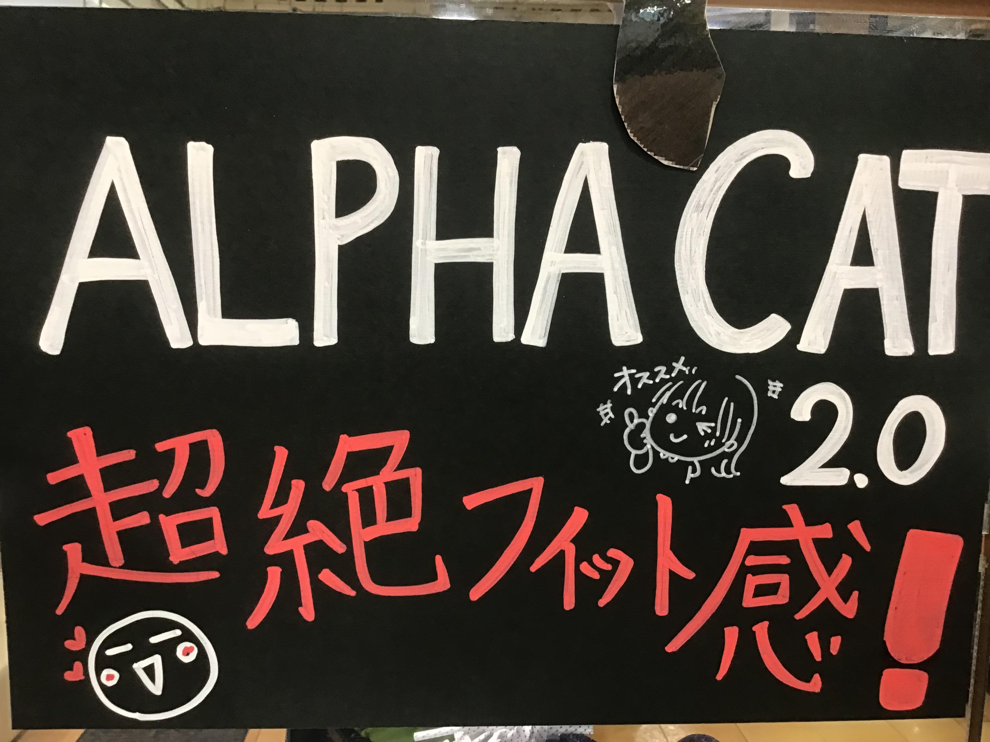 新作シューズ入荷！！