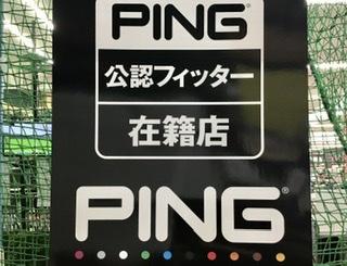 PINGフィッター