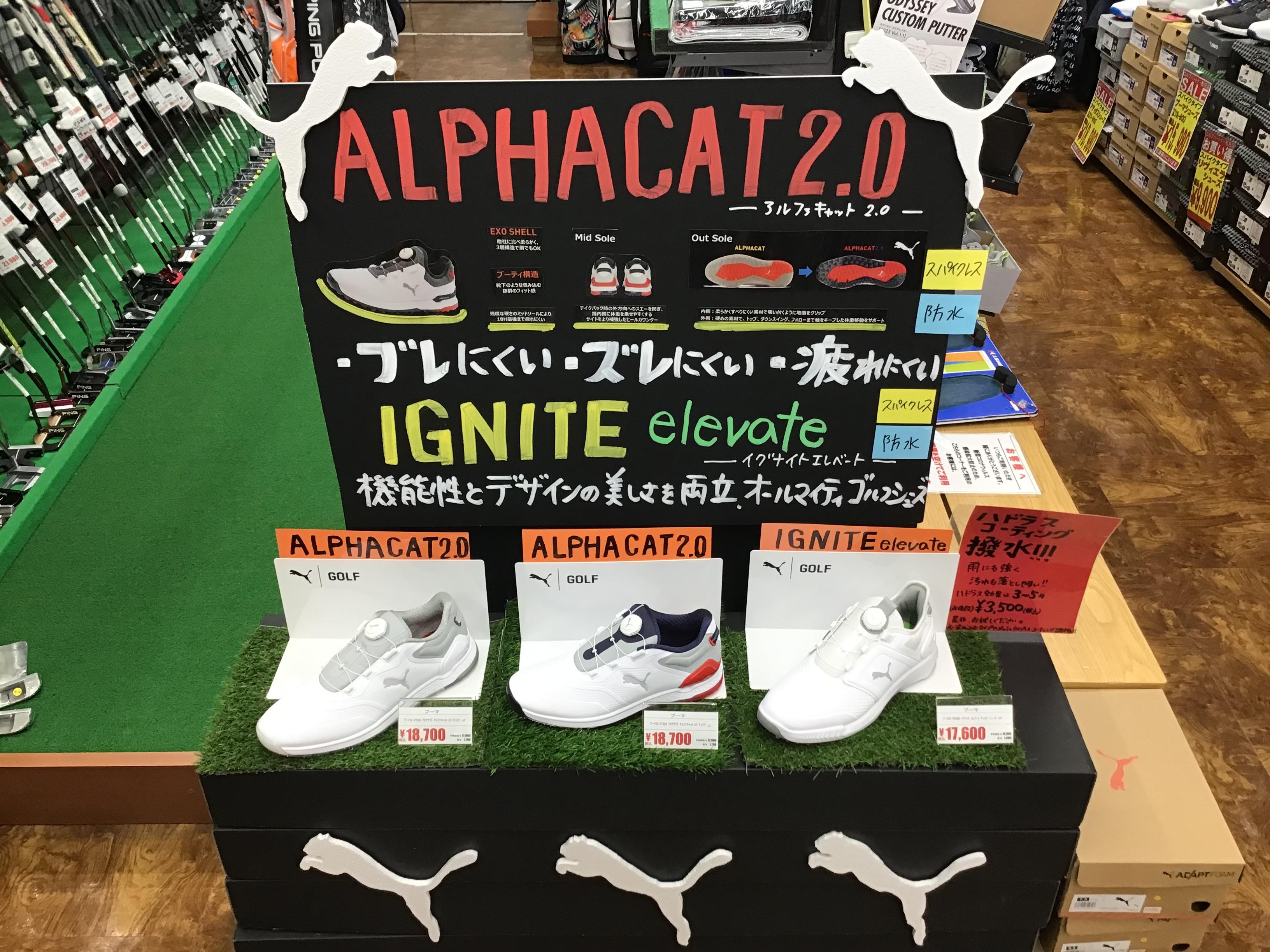 PUMAシューズ！！