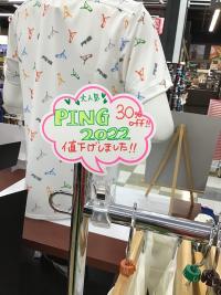pingsalesam,.JPG