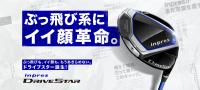 bigbanner_inpres_drivestar.jpg