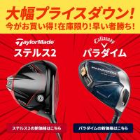 マークダウンLINE用ステルスパラダイム_20231023.jpg