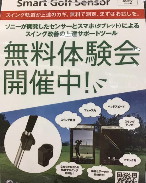 SGLってご存知ですか？？