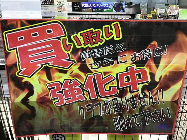 買取強化中（＾。＾）