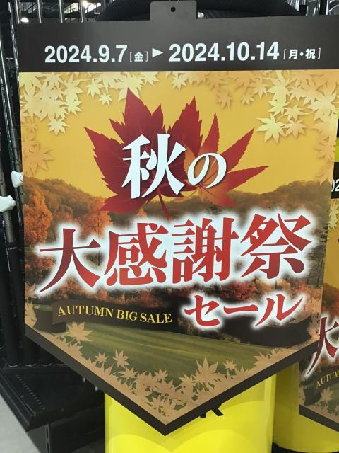 ⭐️オータムフェア⭐️