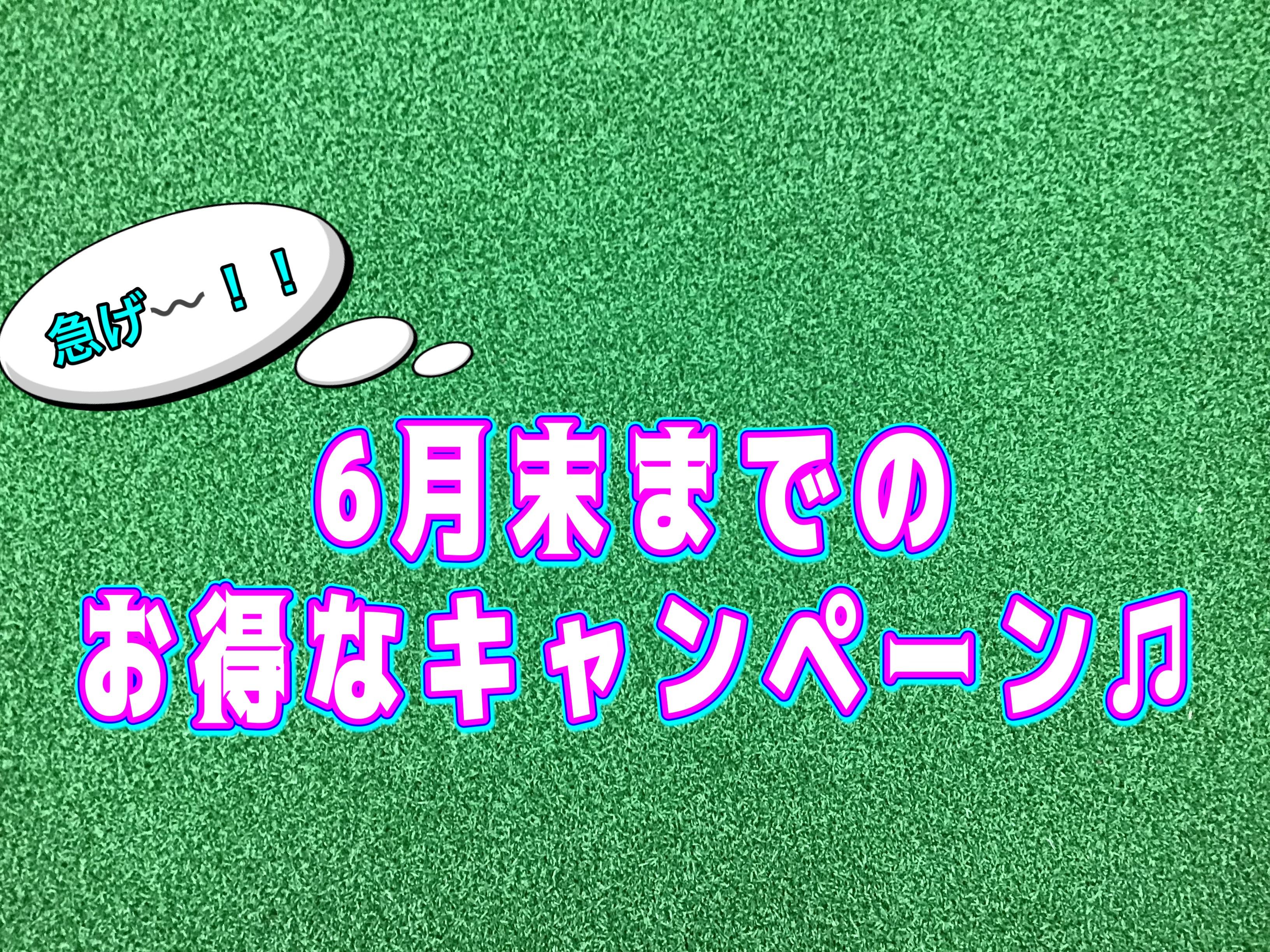 【各種キャンペーン開催中♪】
