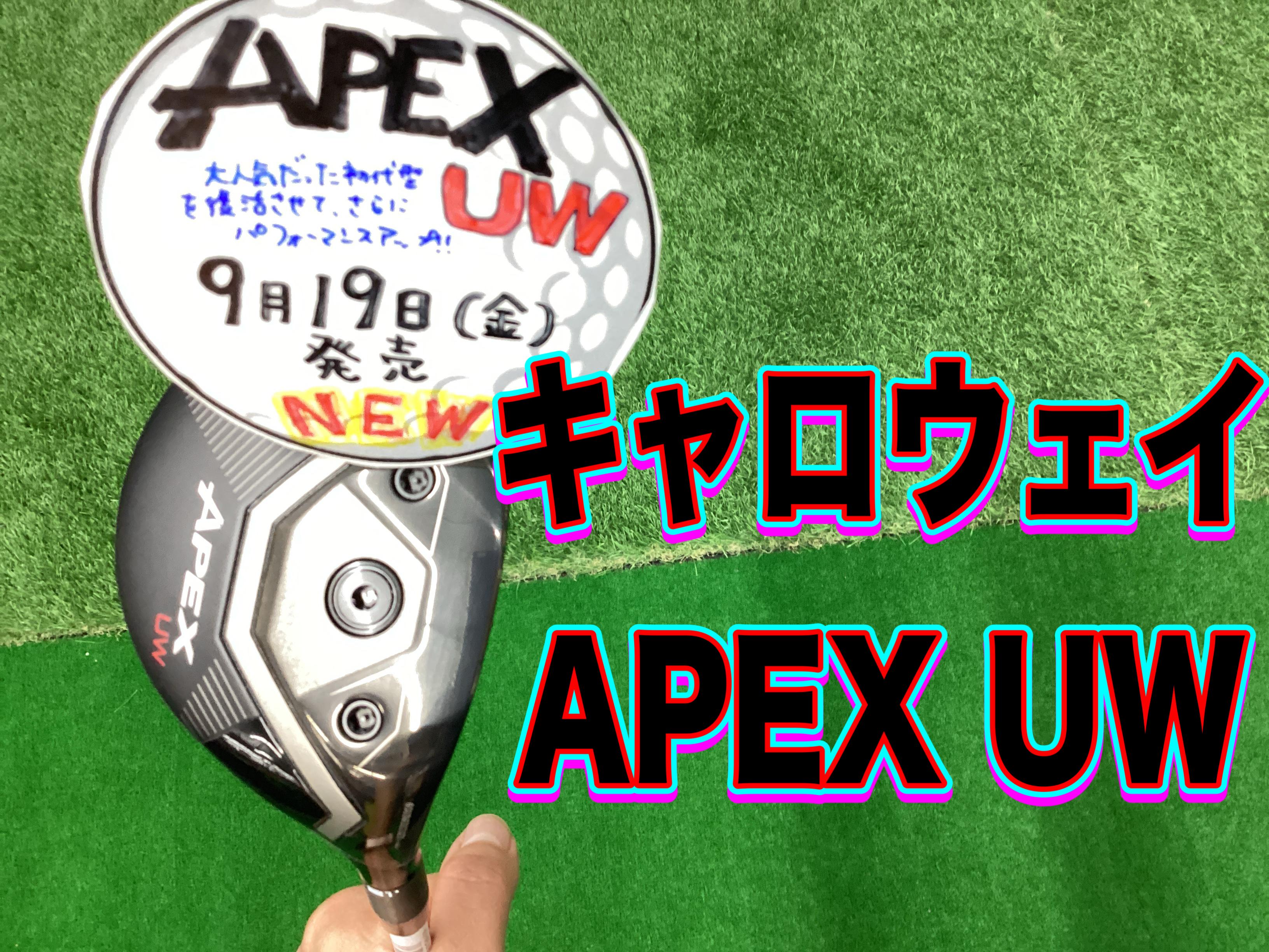 【キャロウェイAPEX UW】