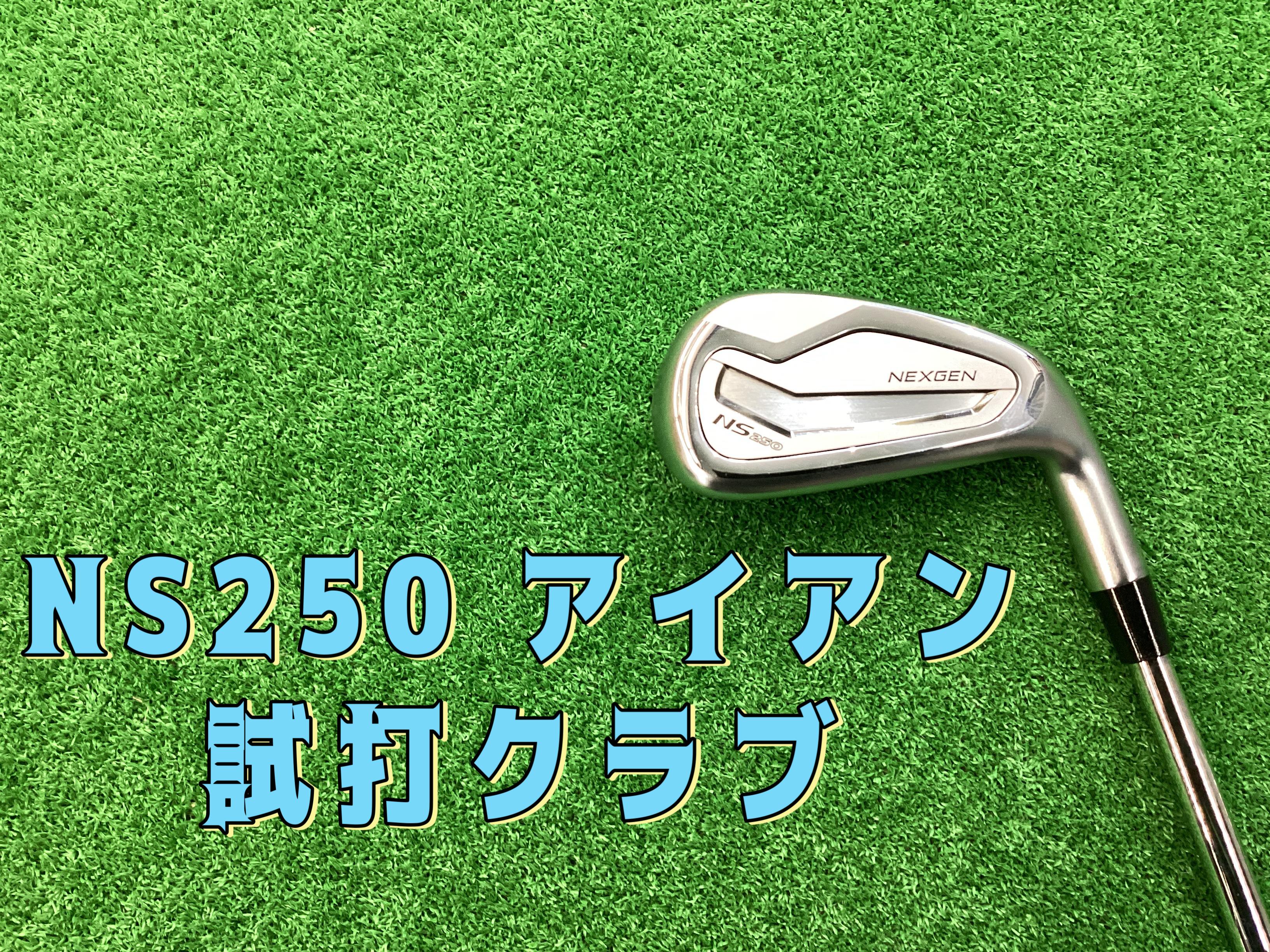 【ネクスジェンNS250アイアン】