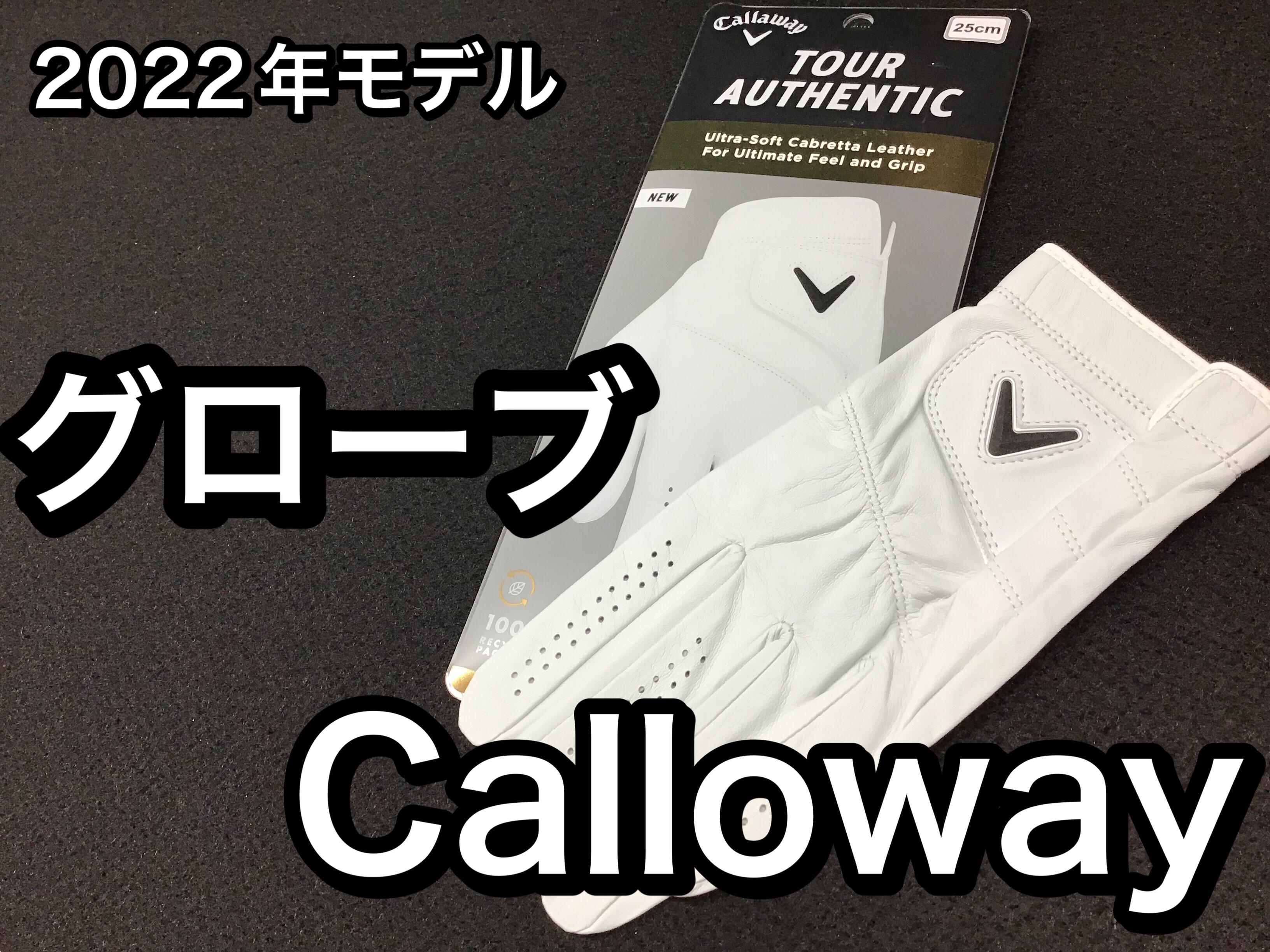 【グローブの新調に本格派の天然皮革グローブはいかかですか？】